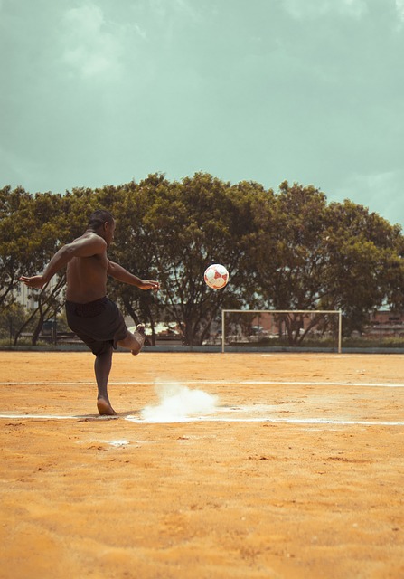 的基础上逐 的基础上逐