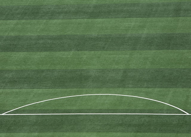 球员的品牌 球员的品牌