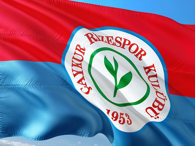 引来自世界 引来自世界