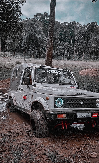 发挥不可替 发挥不可替